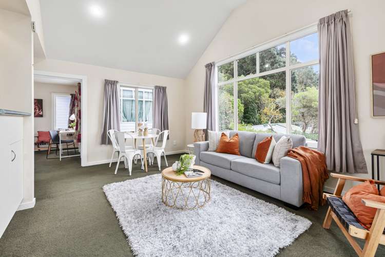 40b Derwent Street Island Bay_2