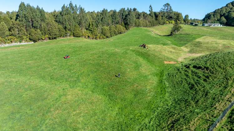 271 Endean Road Ngongotaha Valley_8