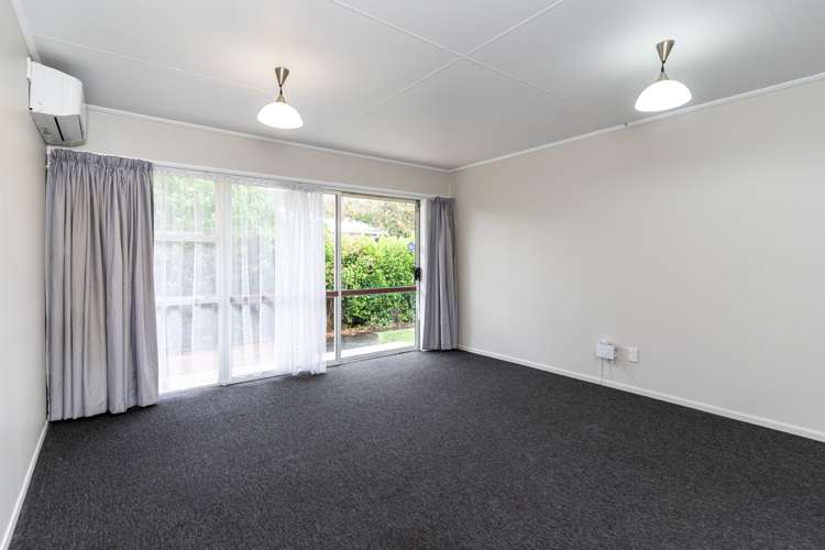 2/272 Grey Street Palmerston North Central_5