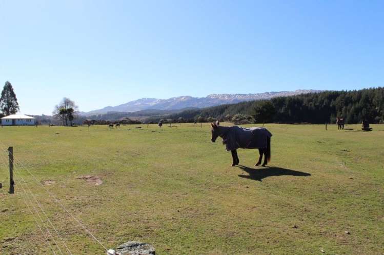 408 Mcvicar Road Te Haroto_7