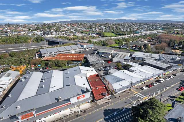 192 Stoddard Road Mount Roskill_1