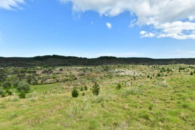 Lot 2/DP170782 Wilson Road South Head_15
