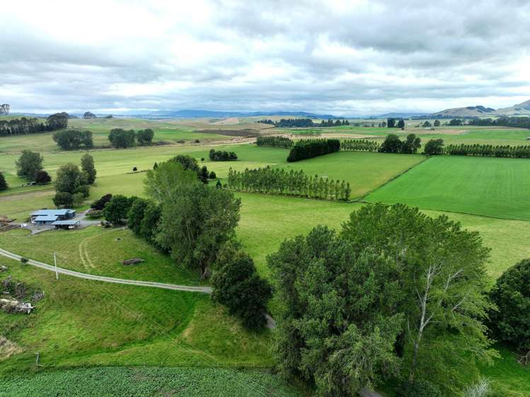 1148 Blackmount Redcliff Road Whare Creek_10