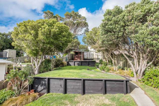 18 Totara Road Miramar_1