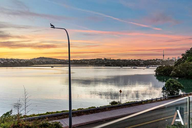 8 Ngapipi Road Orakei_23