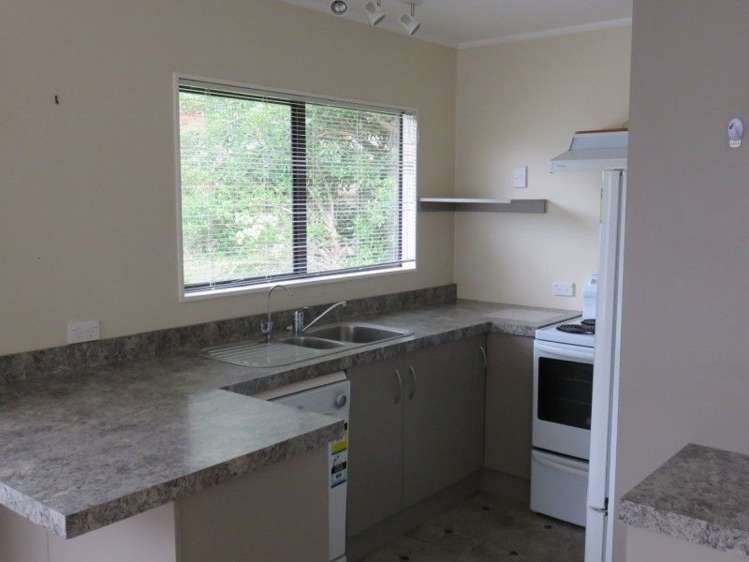 324 Onemana Drive Onemana_10