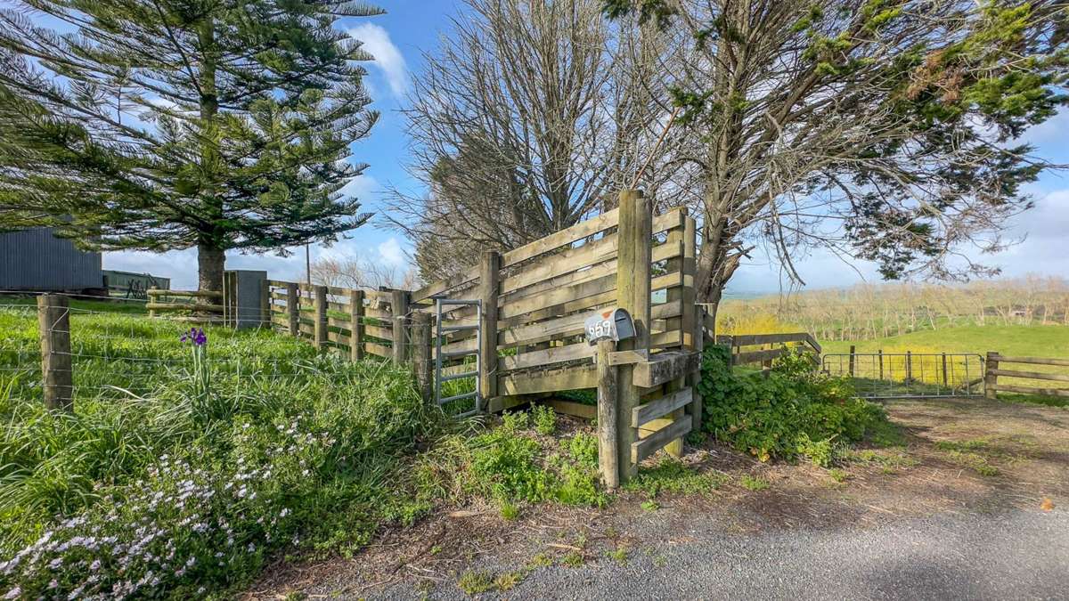 659 Hetherington Road_3