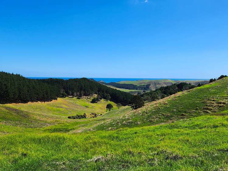 Babylon Coast Road Dargaville_5