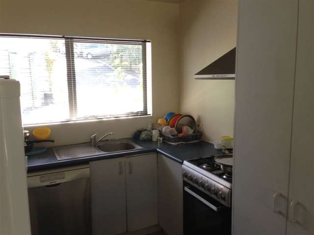 1 Zeralto Lane Mount Roskill_2