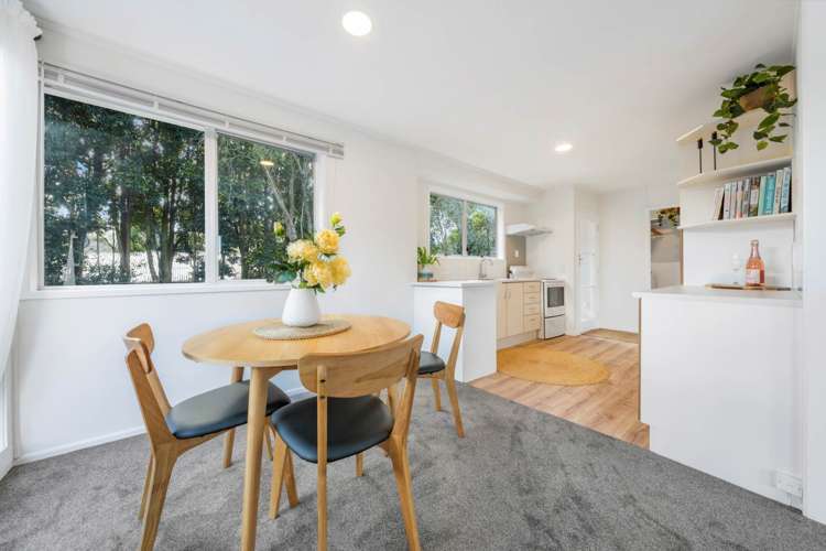 10 Karina Place Glen Eden_5