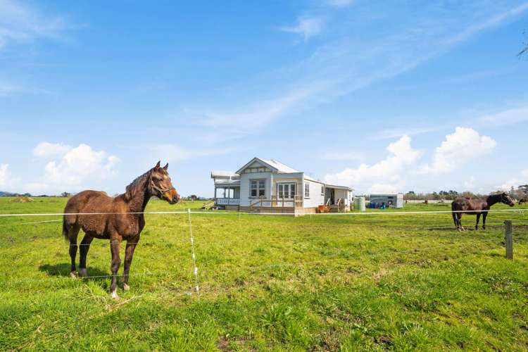 81 Awaiti Road Paeroa_15