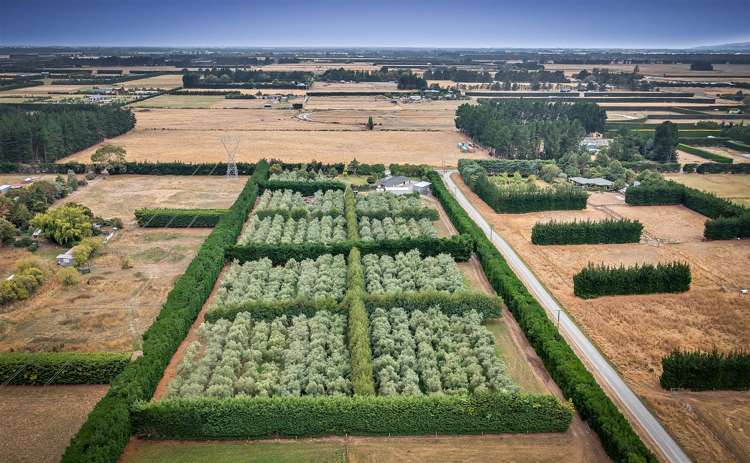 53 Wild Road Rolleston_17