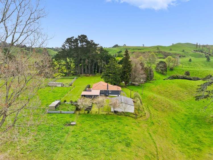 123 Hereford Park Road Pukehina_31