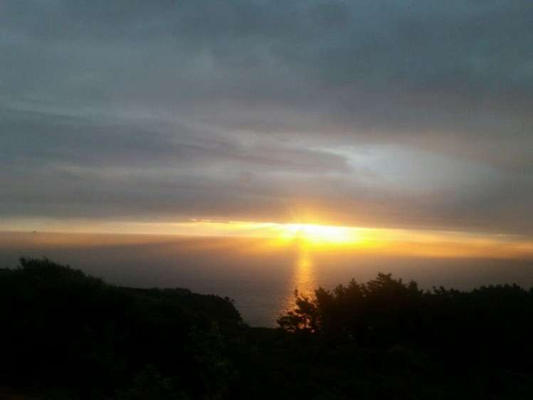 411 Schooner Bay Road Great Barrier Island (Aotea Island)_18