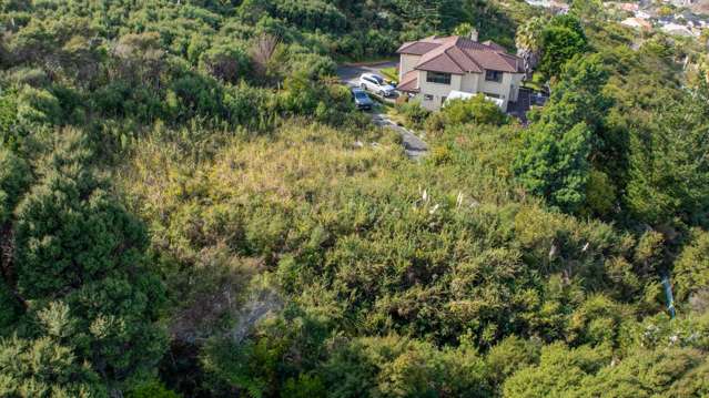 31 Living Stream Road Albany Heights_3