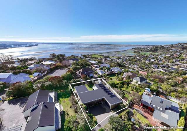 45 Major Hornbrook Road Mount Pleasant_2