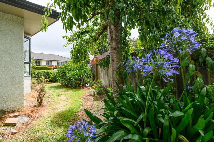 7 Jamesdale Court Ashhurst_18