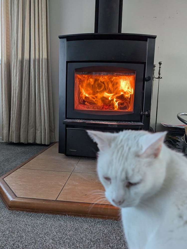 15 Loloma Drive Half Moon Bay_4