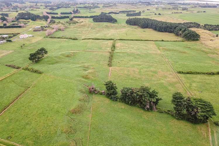 123 Seafield Road Westmere_9