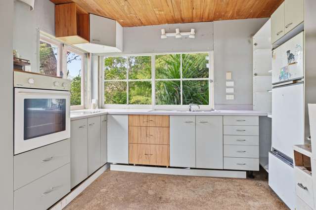 294 Tapu Coroglen Road Tapu_4