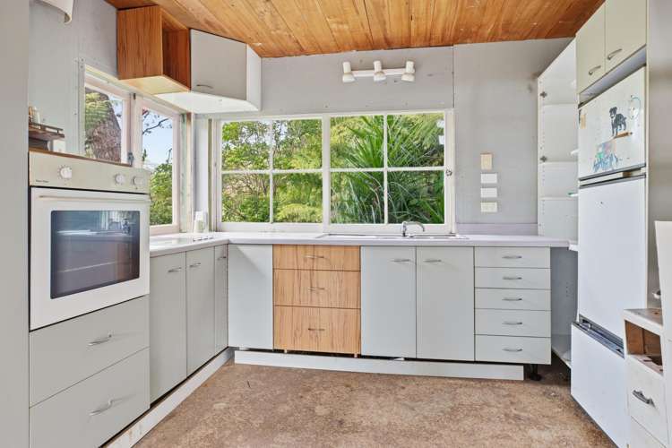 294 Tapu Coroglen Road Tapu_4