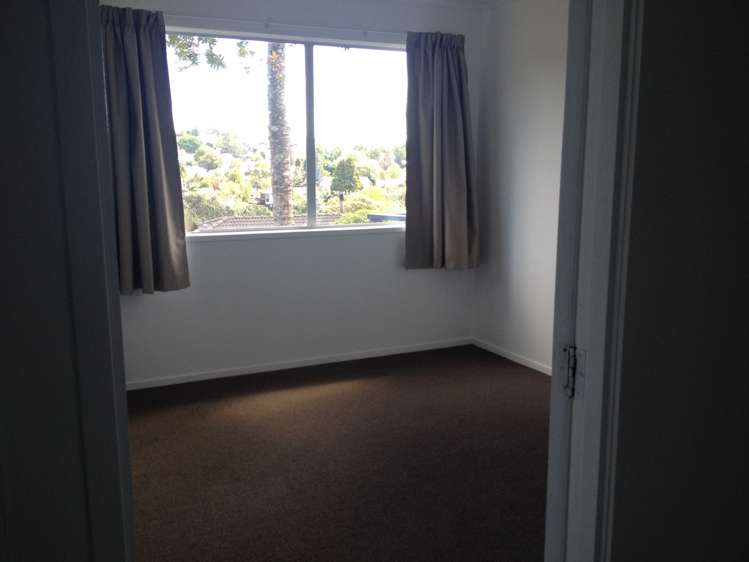 20 Leo Street Glen Eden_15