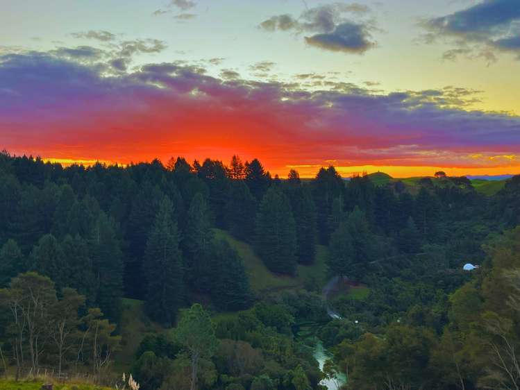 Leslie Road Putaruru_11