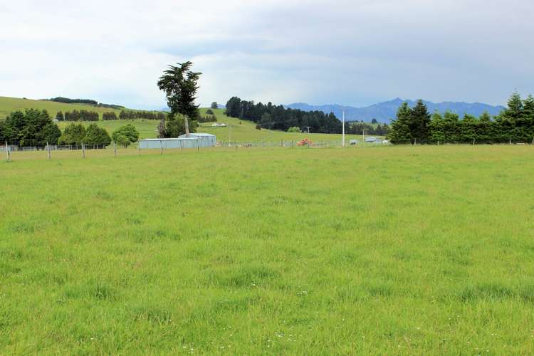 105 Lynwood Road New Lynn_8