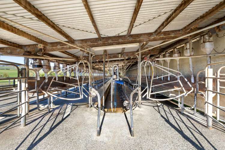 141 Te Mata Road Raglan_42