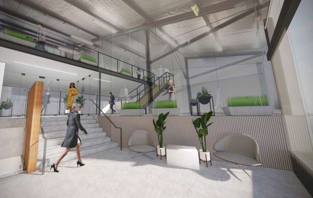 45 Ireland Street Freemans Bay_2