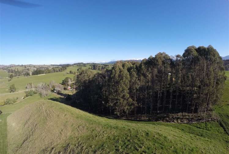 234 Rosedale Road Upper Moutere_21