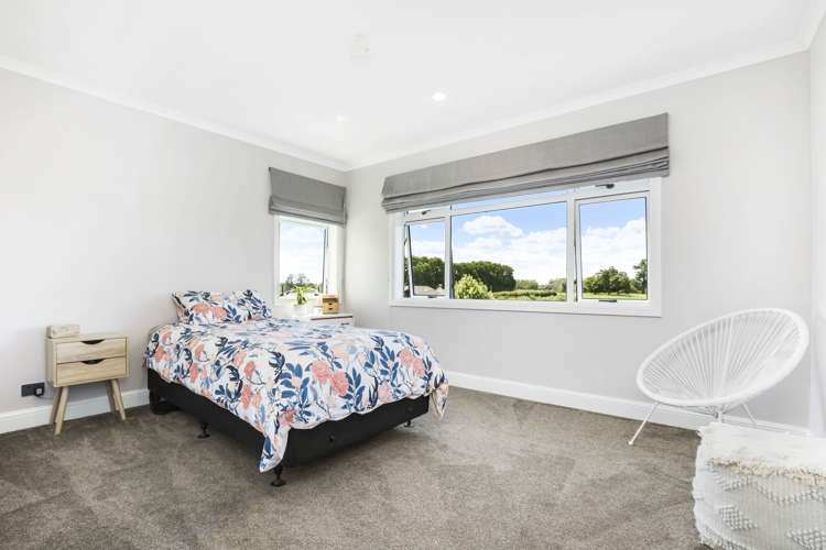 103 Webster Road Matangi_10