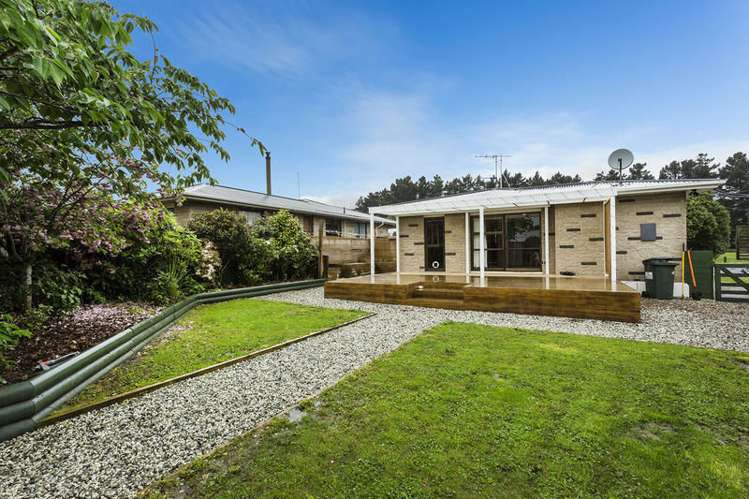 11 Vampire Road Waldronville_13