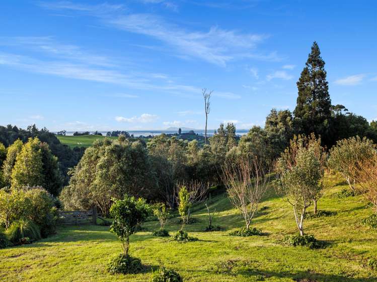 236C Tim Road Whakamarama_6