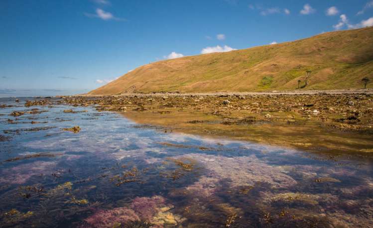 750 Otahome Road Otahome_9