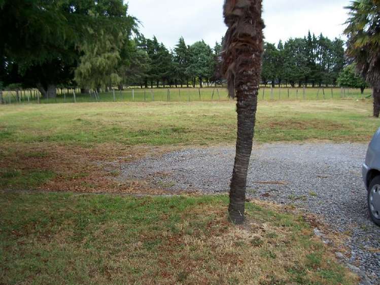 123a Cornwall Street Masterton_6