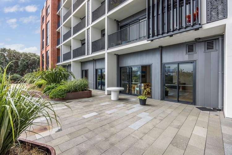 59 France Street Eden Terrace_14