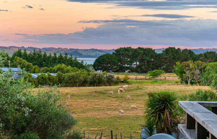 115 Shelly Beach Road Shelly Beach_17