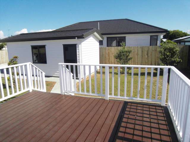 25c Breckons Avenue Nawton_4