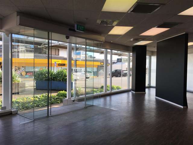 Ground Floor, 119 Queens Drive Lower Hutt_4