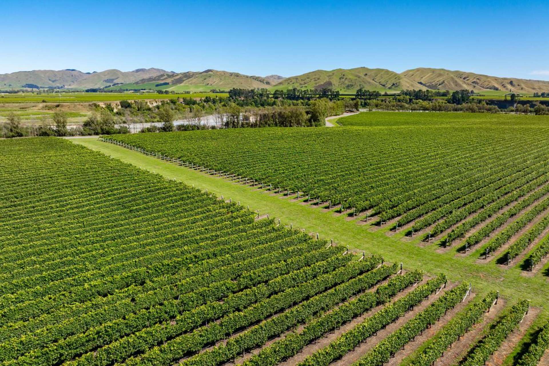 Seaview Road Seddon_0