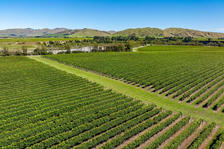 Seaview Road Seddon_0