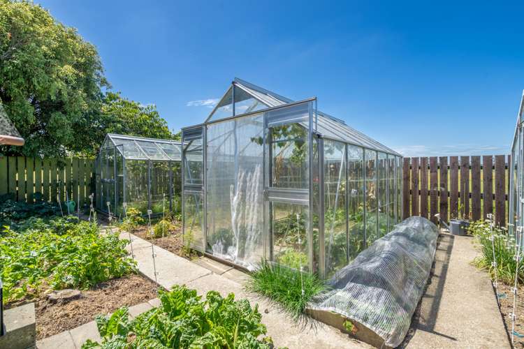 82 Mokotua Road Wyndham Surrounds_14