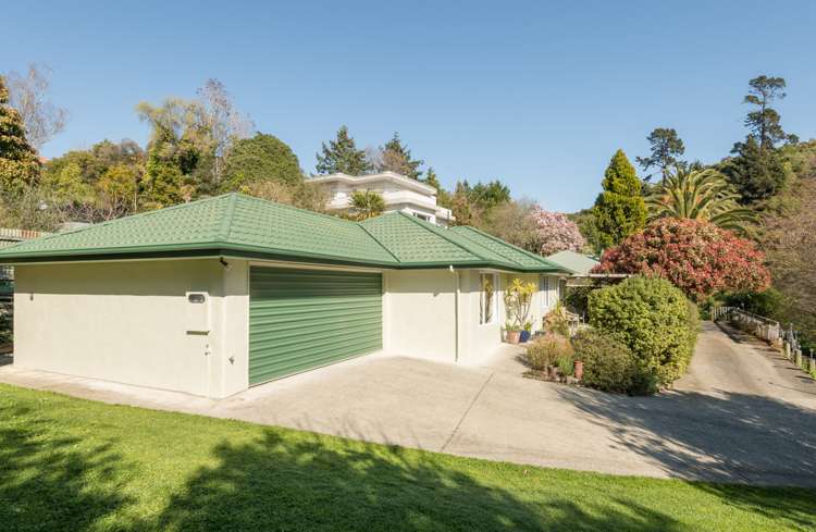 1 Tui Way Toi Toi_25