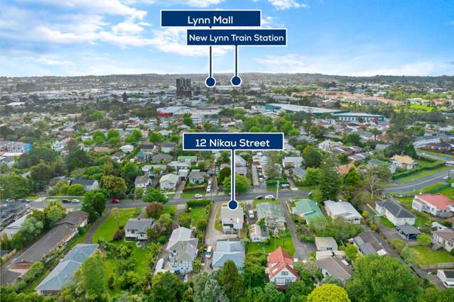 12 Nikau Street New Lynn_1