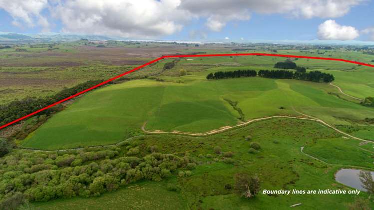 44 Black Road Te Kauwhata_17