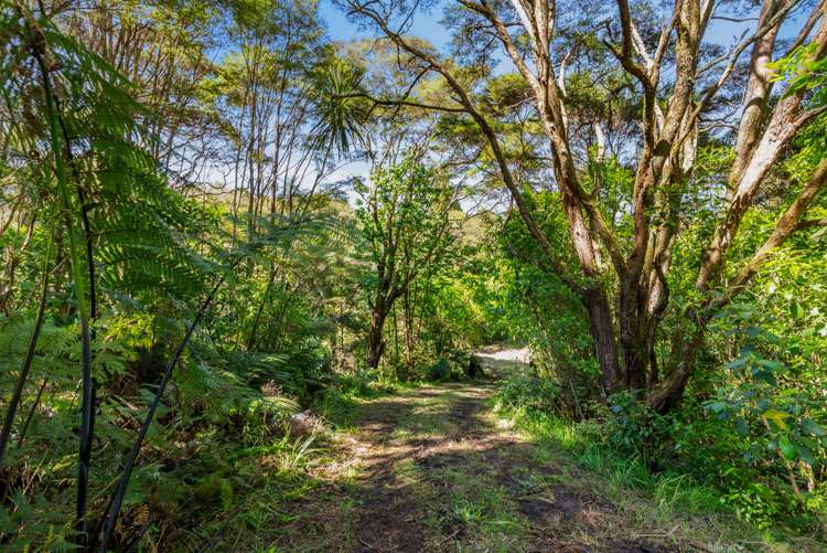 565 Whitford Road Whitford_19