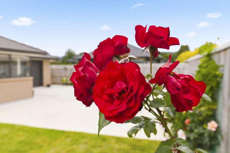 4 Hawera Avenue Levin_6