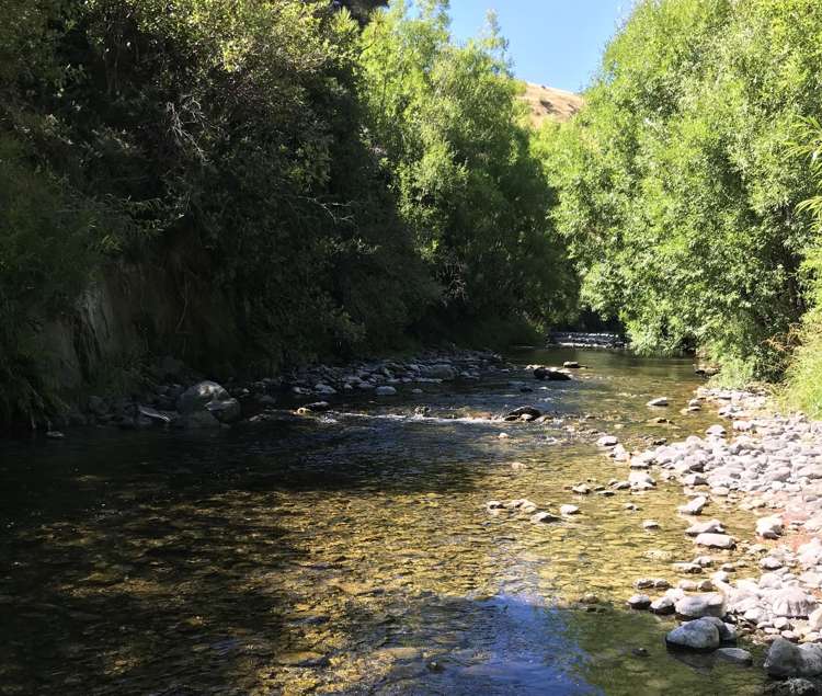 115 D Ruakokoputuna Road, Ruakokoputuna Martinborough_21