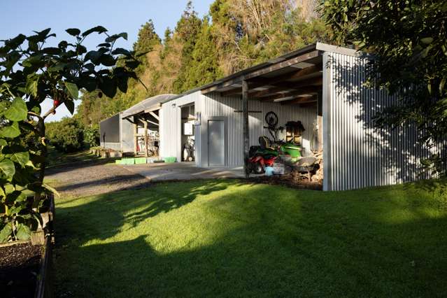 1555B State Highway 2 Whakamarama_3